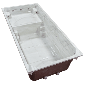 Plunge Pool with Sun Ledge